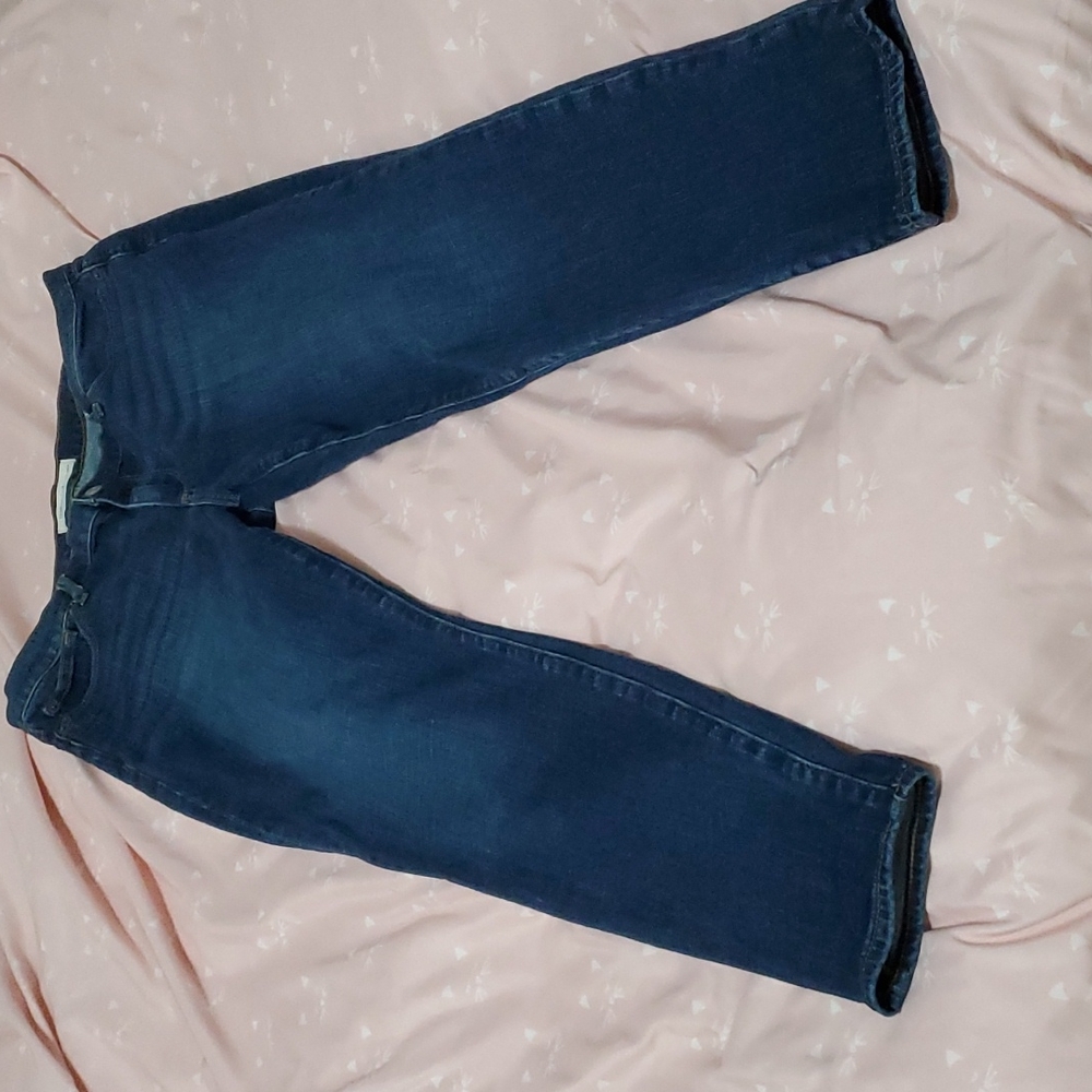 Women's Gap 1969 Denim Jeans True Skinny 31 R